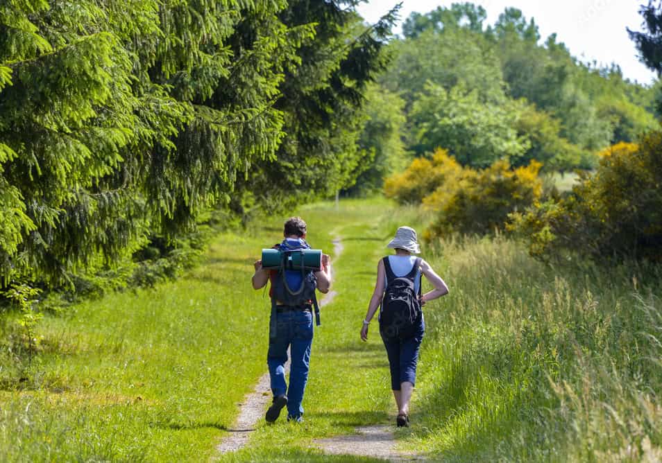 Wandern